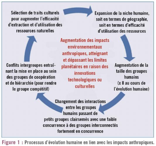 figure1 anthropocene dt214 figure1 anthropocene dt214