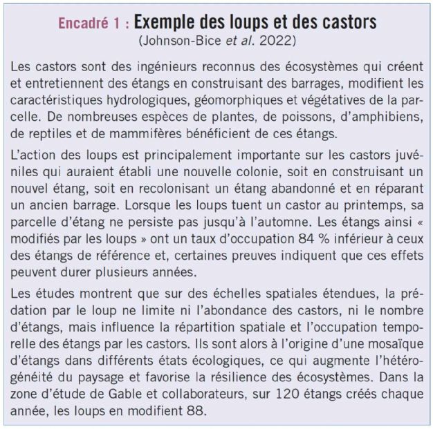 encadre1 biodiversite dt217