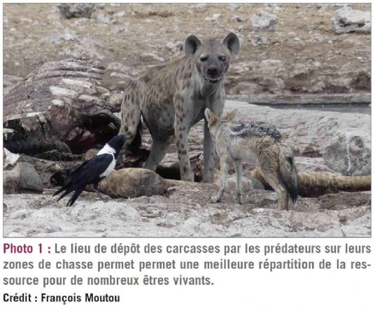 photo1 biodiversite dt217