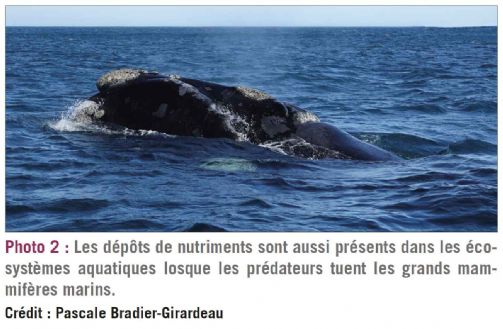 photo2 biodiversite dt217