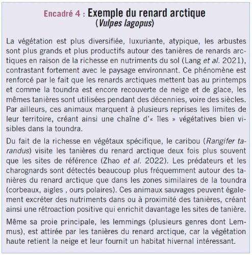 encadre4 biodiversite dt217