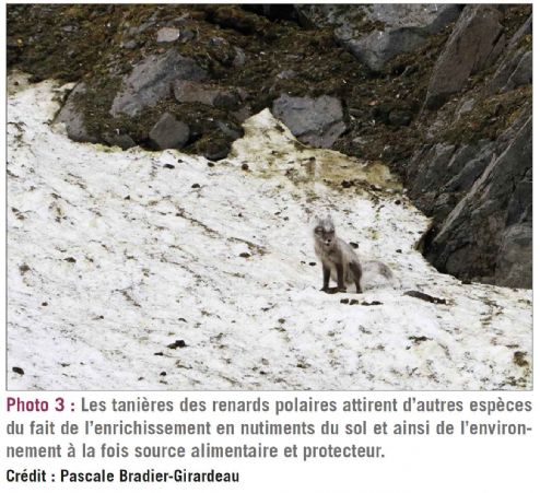 photo3 biodiversite dt217