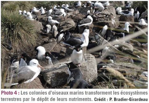 photo4 biodiversite dt217