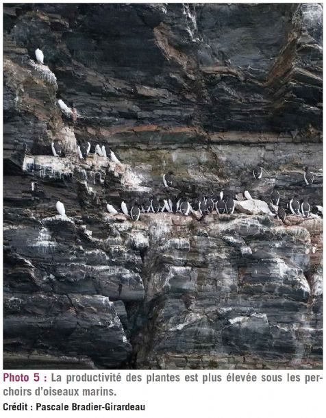 photo5 biodiversite dt217