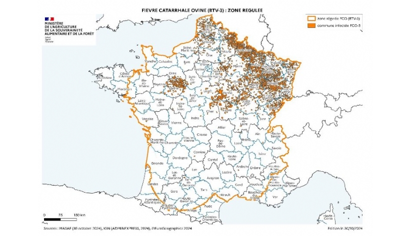 Carte De Commande à Rupture KMSRUP ESSER – Neuve, Pièce Détachée